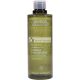 Aveda Botanical Kinetics Behandlungslotion