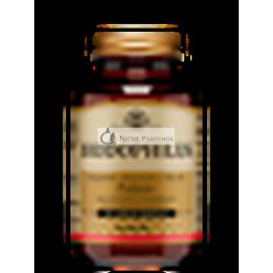 Solgar Biodophilus 60 Vegetáriánus Kapszula