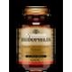 Solgar Biodophilus 60 Vegane Kapseln