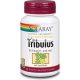 Solaray Tribulus 450 Mg, 60 Kapseln
