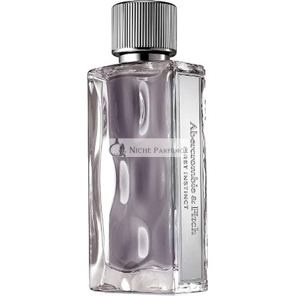 Abercrombie & Fitch First Instinct für Männer Eau de Toilette, 100ml