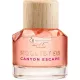 Hollister Canyon Escape Eau de Parfum für Damen 30ml