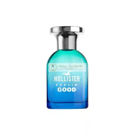 Hollister Feelin Good für Männer EdT 30ml