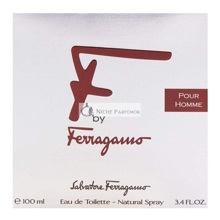 Salvatore Ferragamo F Pour Homme Black Eau De Toilette Spray 100ml