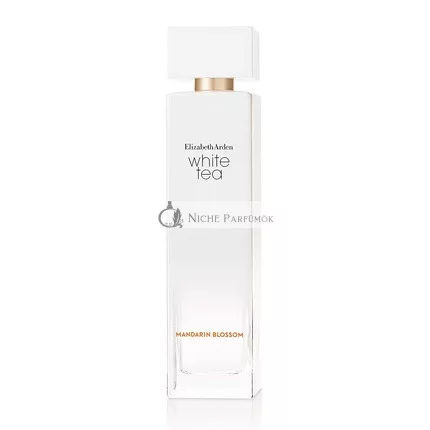 Elizabeth Arden Modern Spray Parfüm für Frauen, 98 ml