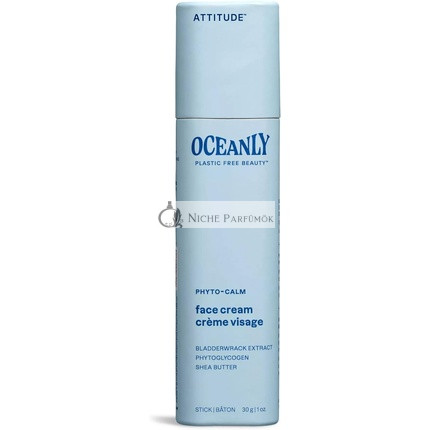 ATTITUDE Oceanly Arckrém Stift, EWG Ellenőrzött Növényi és Ásványi Összetevők, Vegan Bőrápoló Termékek, 30g