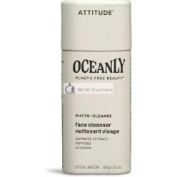   ATTITUDE Oceanly Arctisztító Stift, EWG Ellenőrzött, Műanyagmentes, Növényi és Ásványi Összetevők, Vegán Bőrápoló Termékek, PHYTOKLENSZ, Illatmentes, 8,5 g