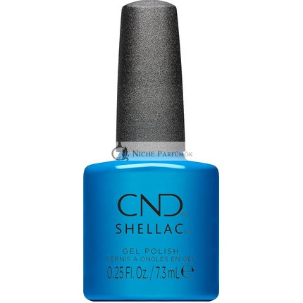 Shellac Was alt ist, ist wieder blau