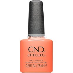 Shellac Silky Sienna