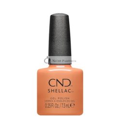 Shellac Daydreaming #465