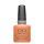 Shellac Daydreaming #465