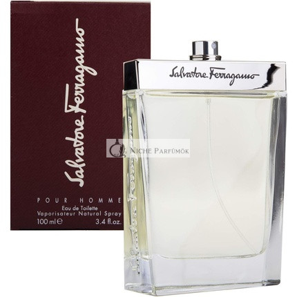 Salvatore Ferragamo Férfi Eau De Toilette, 100ml