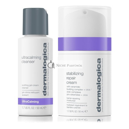 Dermalogica Hautreparatur Duo Gesichtsreiniger und Feuchtigkeitscremeset für empfindliche Haut