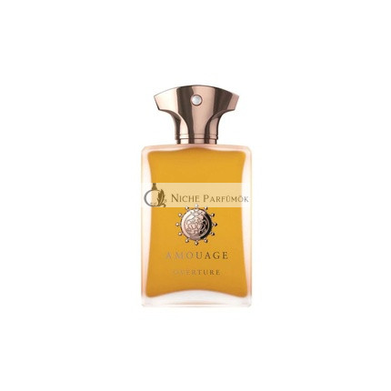 AMOUAGE Overture Man Eau de Parfum Férfi Parfüm, 100ml