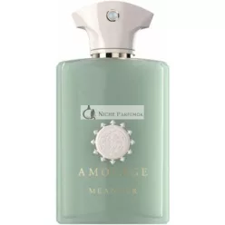 Amouage Meander Eau de Parfum für Männer, 100ml
