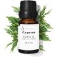 Ciprus Illóolaj, 10ml Tiszta Organikus 100% Természetes Aromaterápiás Párásító