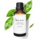 Teebaumöl, 50ml, Rein BIO 100% Natürlich Aromatherapie