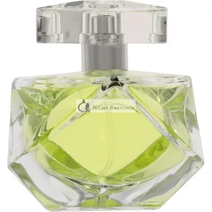 Britney Spears Believe Eau de Parfum für Frauen, 50ml