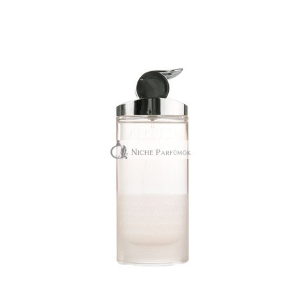Cerruti Image von Nino Cerruti für Frauen Eau De Toilette Spray, 75ml