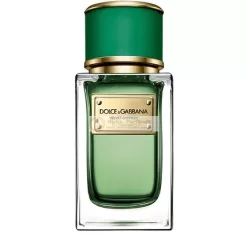 Dolce & Gabbana Velvet Cypress Eau de Parfum Spray, 50ml