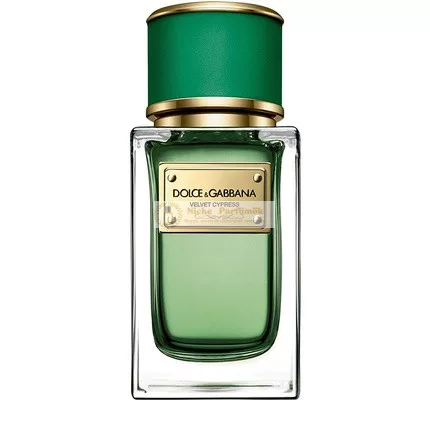 Dolce & Gabbana Velvet Cypress Eau de Parfum Spray, 50ml