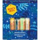 Burt's Bees Lippenbalsam Geschenkset - Bienenwachs, Vanille, Gurkenminze, Kokos