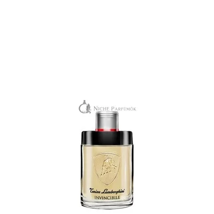 Lamborghini Invincible Herren Eau de Toilette Spray, 40ml