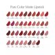 Estee Lauder Pure Color Matte Lippenstift - Wählen Sie Ihre Farbe