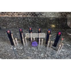   Estee Lauder Pure Color Explicit Slick Shine Lippenstift, Neu in der Box