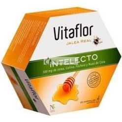 Vitaflor Jalea Real Intelecto 20 Ampullák