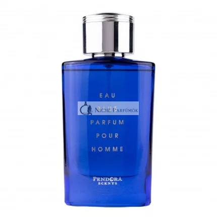 Pendora Scents Eau Blue Pour Homme Eau De Parfum, 100ml