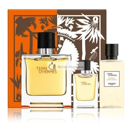 Hermès Terre D'Hermès Eau Intense Vetiver Geschenkset für Männer, 120ml