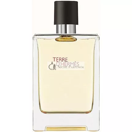 Hermès Terre D'Hermès Eau de Toilette Spray, 200 ml