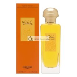 Caleche By Hermes Für Frauen Eau De Toilette Spray, 100 ml