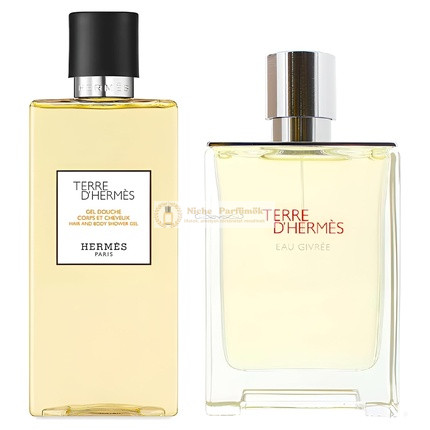 Hermes Terre D'Hermes 2-teiliges Geschenkset 100 ml Eau Givree Eau De Parfum Spray