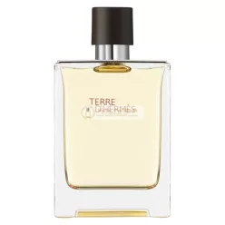 Hermes Terre D'Hermes Eau De Toilette Spray, 100 ml