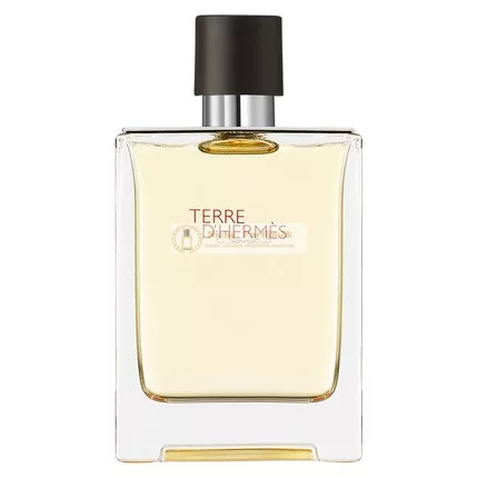 Hermes Terre D'Hermes Eau De Toilette Spray, 100 ml