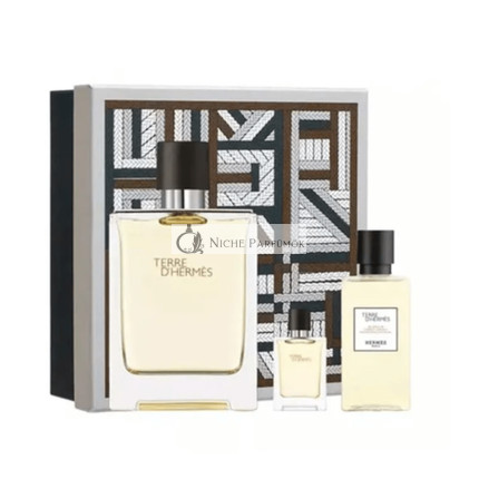 Hermes Terre D'Hermes Eau de Toilette Herren Geschenkeset, 100ml