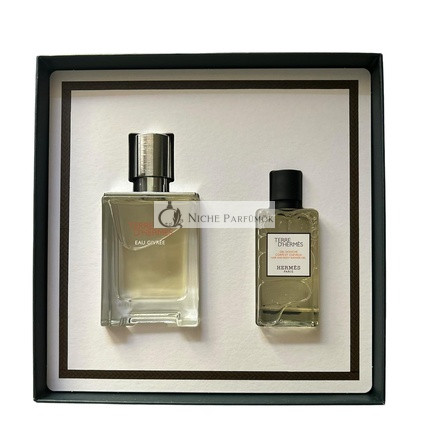 HERMÈS Geschenkset Terre d'Hermès Eau Givrée Eau de Parfum 50ml + Haar- und Körper-Duschgel 40ml
