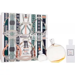   Hermes Eau Des Merveilles - 100ml Eau de Toilette für Frauen