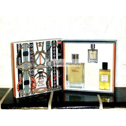 Hermès Terre D'Hermes Givree Set EDP 100ml + 12.5ml EDP + 80ml DG