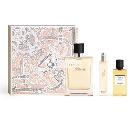 Terre D'Hermes Eau De Toilette Geschenkset, 100 ml