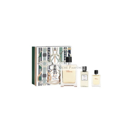 Terre d'Hermes Eau de Toilette Spray, 100ml