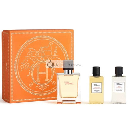 Hermès Terre D'Hermès Eau De Toilette Geschenkset, 50ml