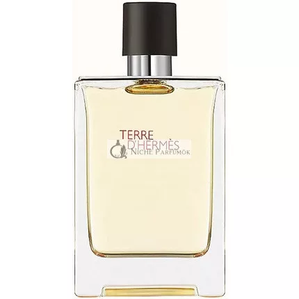 Hermès Terre D'Hermès 200ml Eau de Toilette