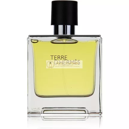 Hermès Terre d'Hermès Eau de Parfum, 75 ml