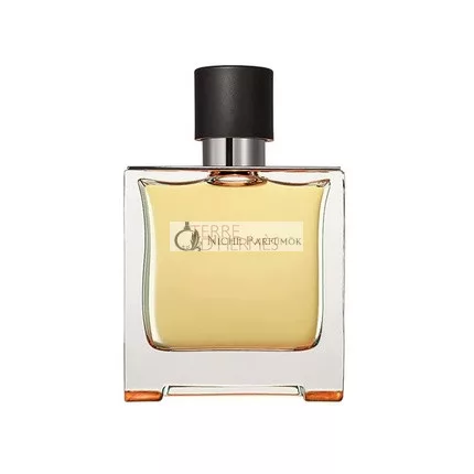 Hermes Terre D' Parfum Spray für Männer, 200ml