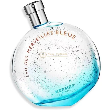 Hermès Eau Des Merveilles Bleue Eau de Toilette Spray, 100ml
