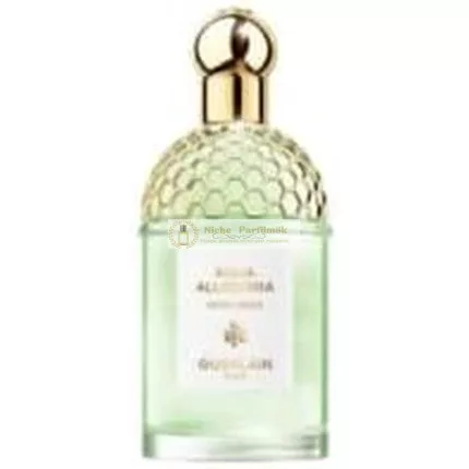 Guerlain Aqua Allegoria Rosa Verde Eau de Toilette, 75ml