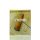 Paco Rabanne One 1 Million Set Eau de Toilette, 100ml + EDT 20ml